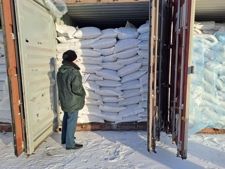 Первая в этом году поставка семян подсолнечника прибыла на Урал