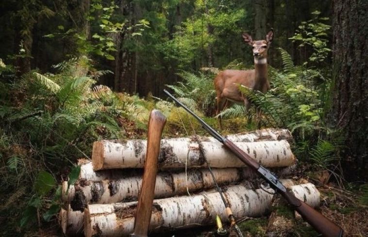 Берегите природу! Полиция Челябинской области разъясняет, что грозит за незаконный оборот природных ресурсов