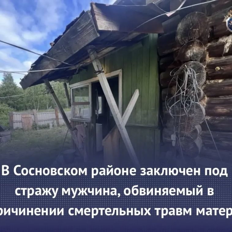 В Сосновском районе заключён под стражу мужчина, обвиняемый в причинении смертельных травм матери