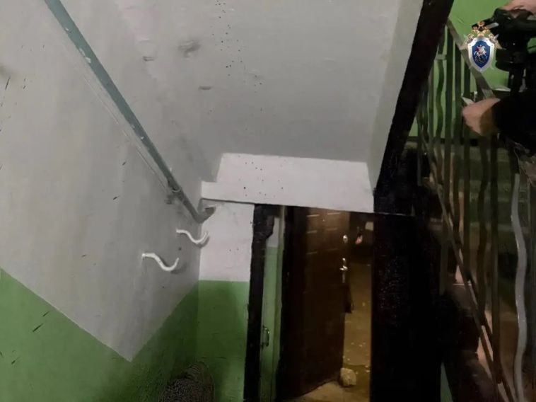 В Челябинской области заключён под стражу местный житель, обвиняемый в убийстве знакомого
