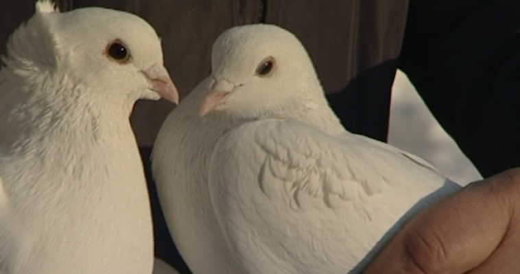 Прогноз погоды на завтра