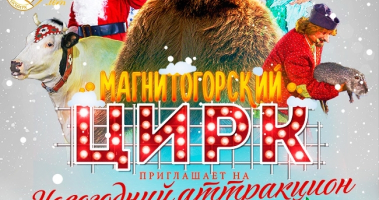 Новогодние гуляния на цирковом манеже