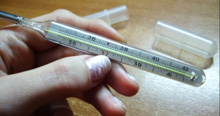 В Челябинской области объявлена эпидемия гриппа