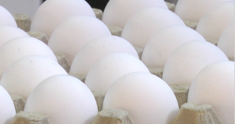 72 тысячи яиц не доехали до Челябинской области