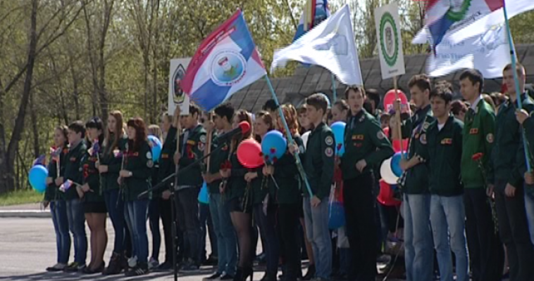 Строят, охраняют, учат и путешествуют