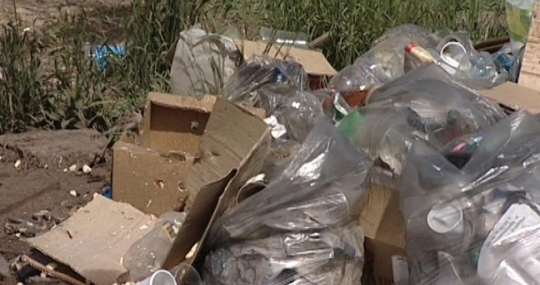 Компании по вывозу мусора устраивают в городе незаконные свалки