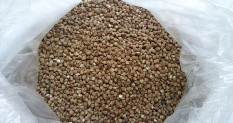 Южноуральцы съели 53 тонны зерна за месяц