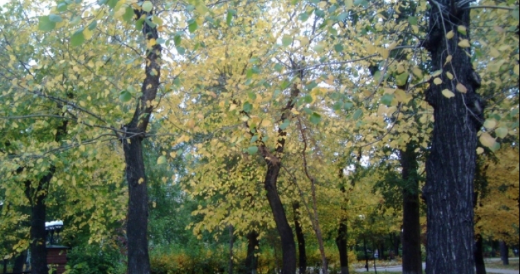 Прогноз погоды на завтра