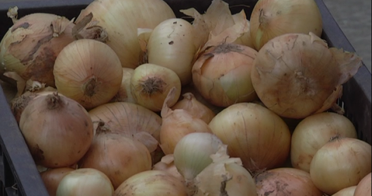 Как изменились цены на продукты за неделю?