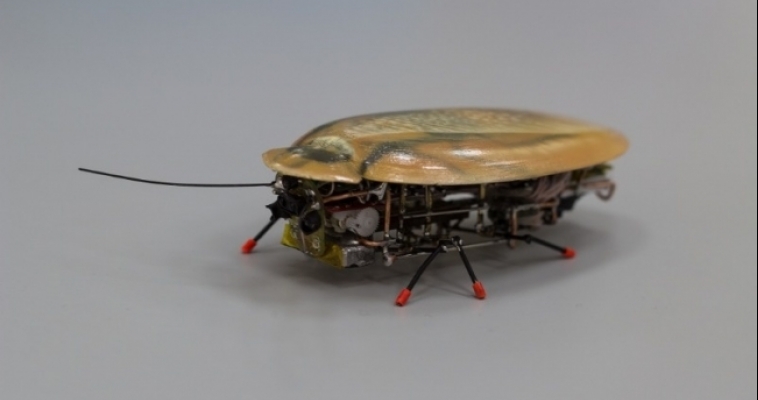 Российские учёные создали робота-таракана