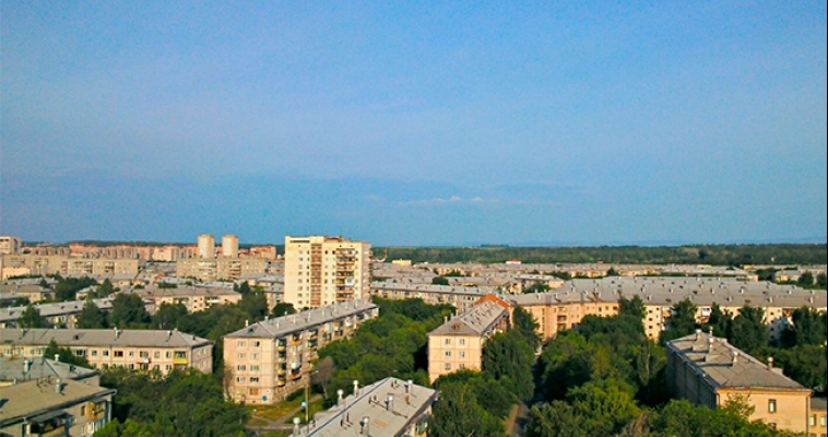Более ста саженцев появилось на улицах города