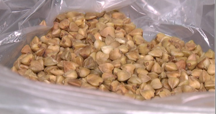 В магнитогорских детских домах детей кормили некачественной крупой