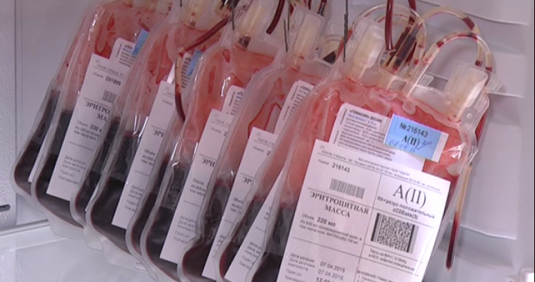 Сколько живет плазма и как сдавать кровь правильно? Школьники побывали с экскурсией на станции переливания
