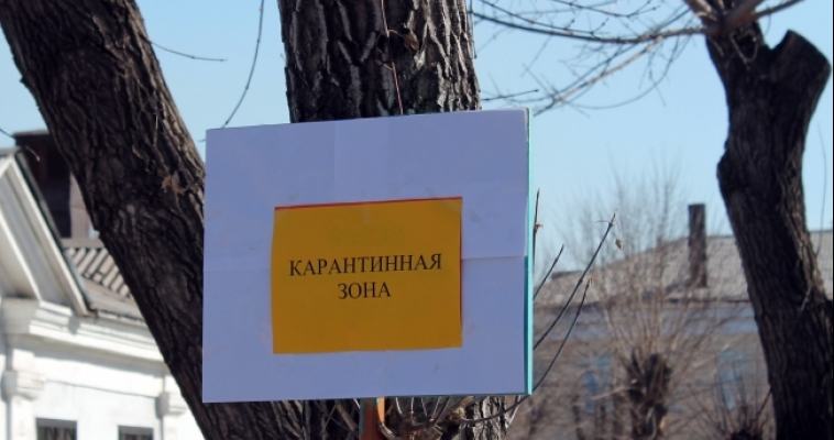 Свиной грипп в Магнитогорске: первый смертельный случай?