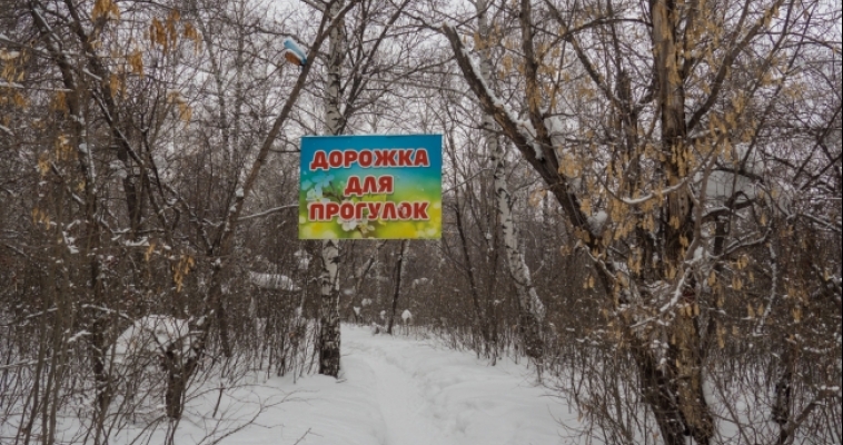 В пятницу у снега выходной? Прогноз погоды