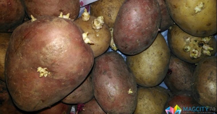 На какие продукты поставщики снизили цены?