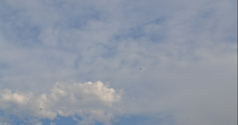 Погода на завтра