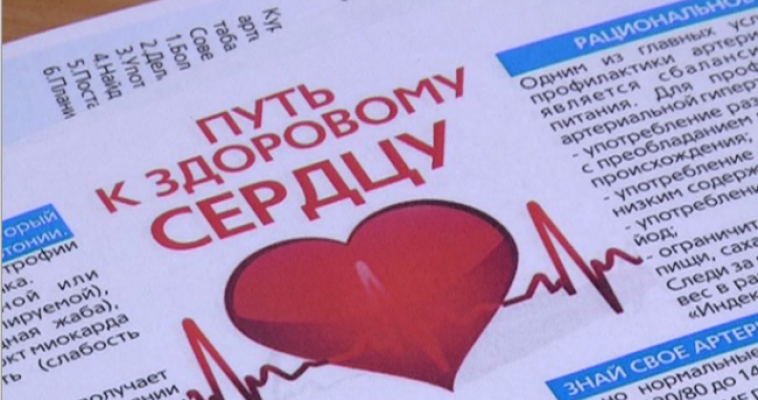 Импорт не понадобится: российские ученые намерены создать свое искусственное сердце