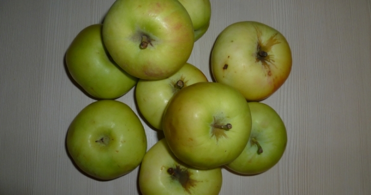 Из яблока – ухо. Ученые выращивают человеческие органы из растений