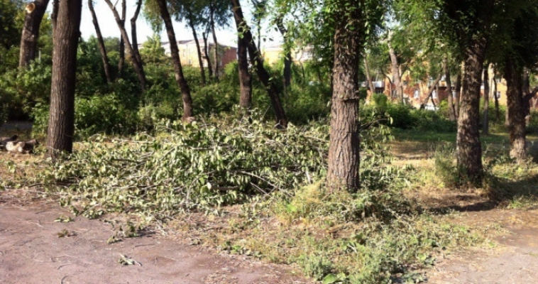 В Магнитогорске снесут порядка двух тысяч аварийных деревьев 