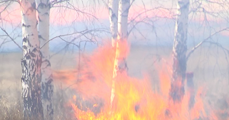 За минувшие выходные ликвидированы три лесных пожара