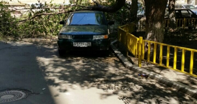 Последствия непогоды: упавшее дерево до сих пор лежит на автомобиле. Кто в ответе?