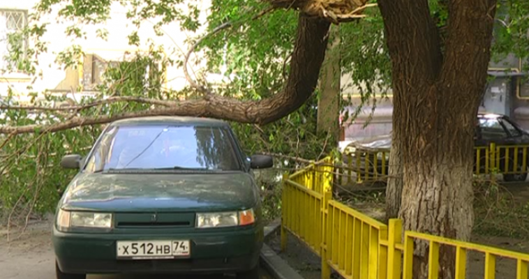  Не прошло и недели. Дерево, рухнувшее на машины во время грозы, наконец-то убрали!