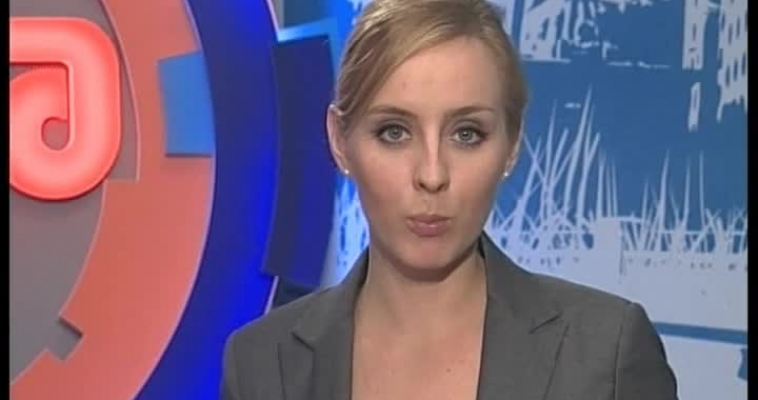 Собаки-спорстмены