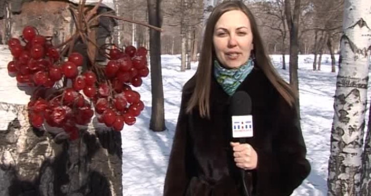 Городовой