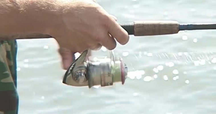 Ловля под запретом