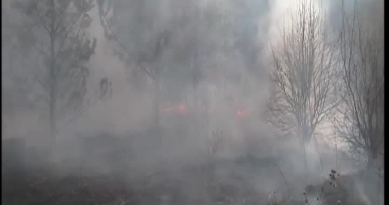 Пикник отменяется