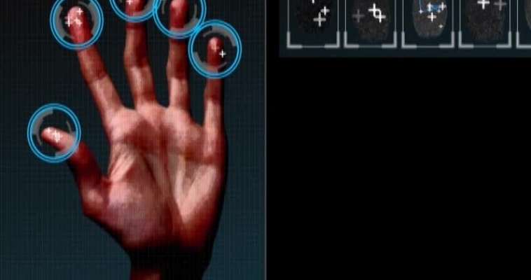 Спецрепортаж: Осторожно, улица!