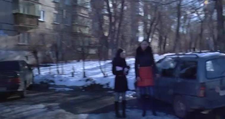 Собака в заточении