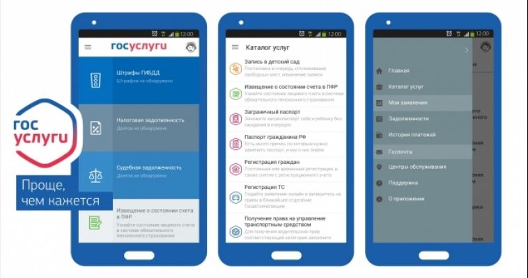 Горожан научили пользоваться порталом Госуслуг