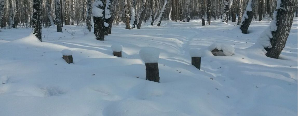 Прогноз погоды на завтра