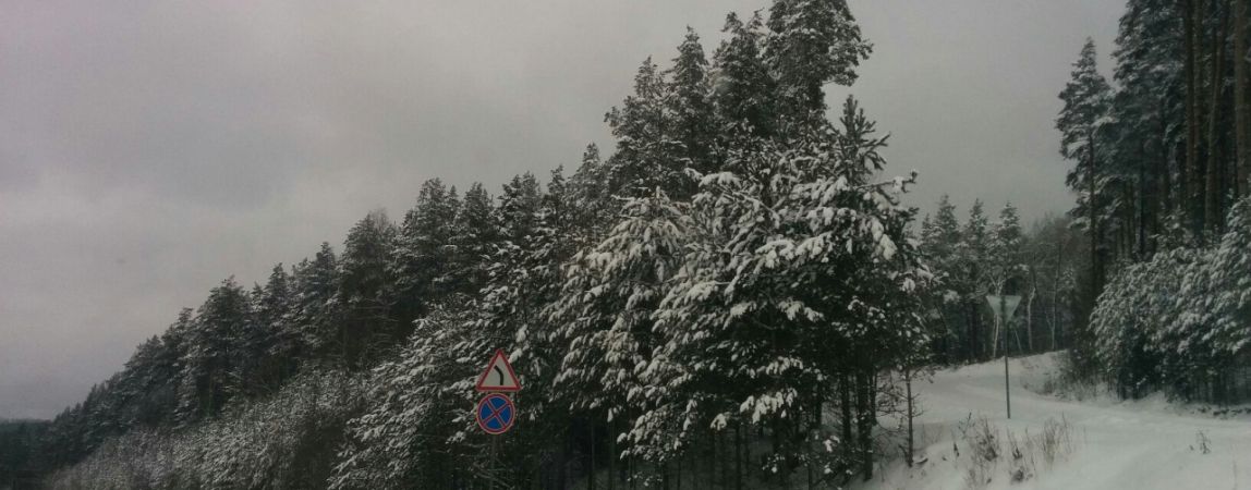 Магнитогорец получил срок за незаконную охоту на косуль