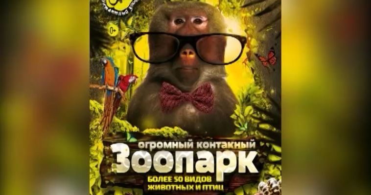ДЖУНГЛИ ЗОВУТ! (10.03)