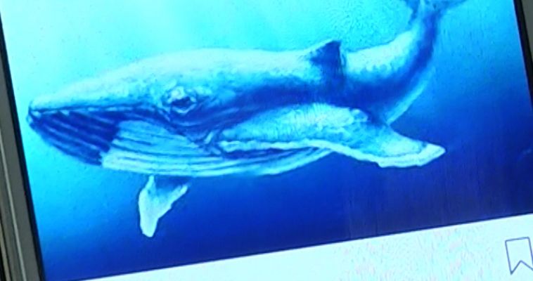 АКТУАЛЬНАЯ ПРОБЛЕМА