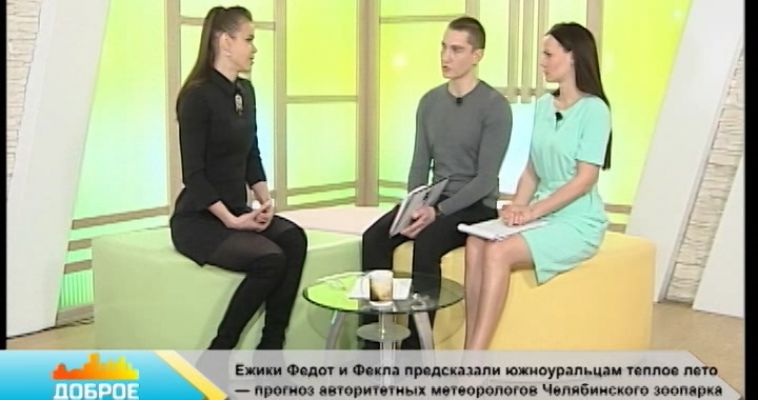 «РАЗМЕР ВО ВСЕМ ИМЕЕТ ЗНАЧЕНИЕ» (17.03)