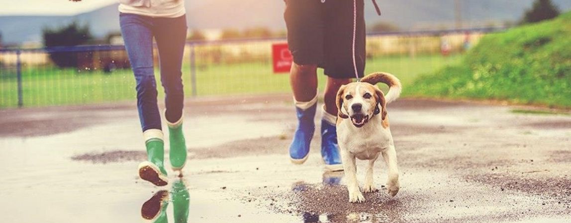 Весной уральцы переходят на «мобильный антистресс»