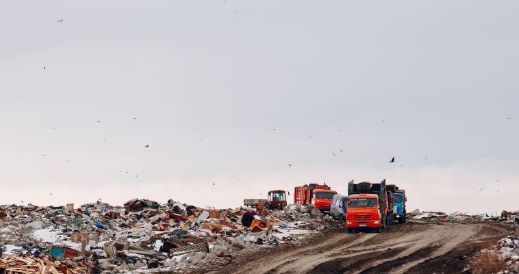 Завод по сортировке мусора построят в 2019 году
