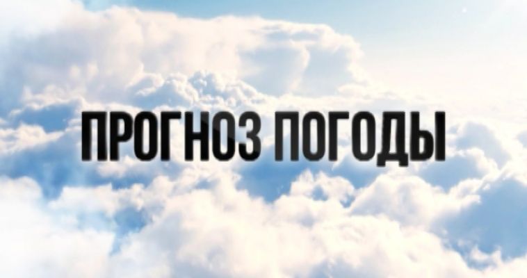 ПРОГНОЗ ПОГОДЫ (11.04)
