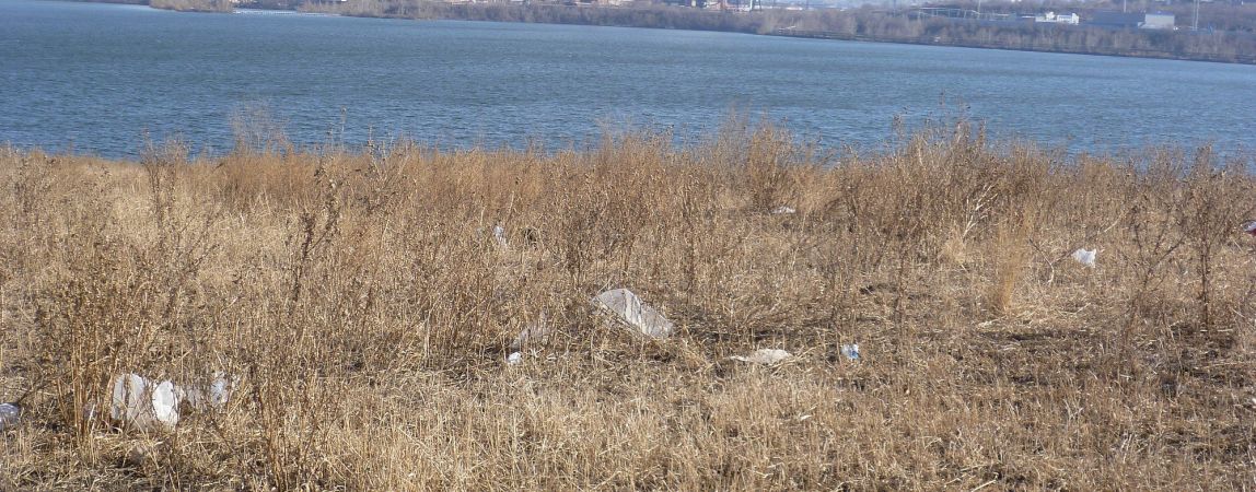 На городские улицы высадится «десант чистоты»