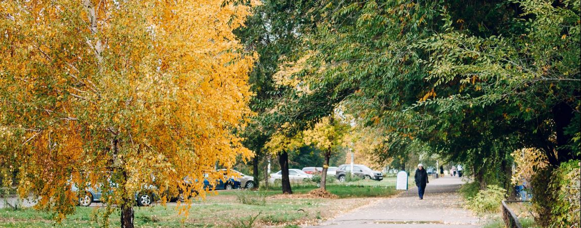 Поддержим родной город!