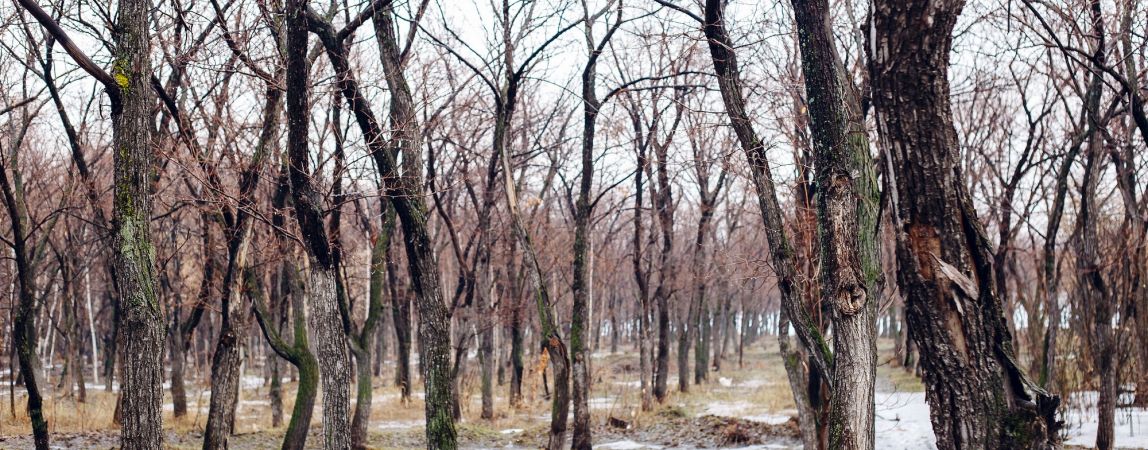 Погода на понедельник