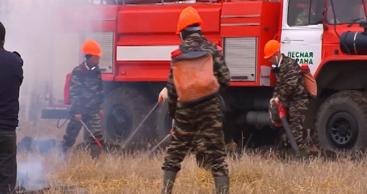 ЛЕСНЫЕ УЧЕНИЯ