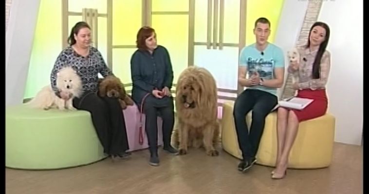 НАМ ВСЕМ НУЖНА СОБАКА (26.04)
