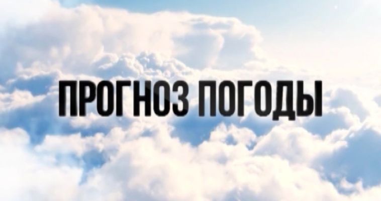 ПРОГНОЗ ПОГОДЫ (08.05)
