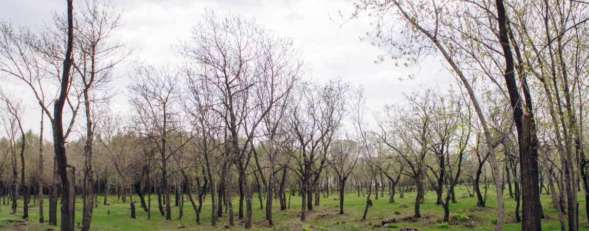 Прогноз погоды на воскресенье