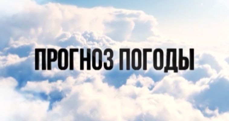 ПРОГНОЗ ПОГОДЫ (11.05)